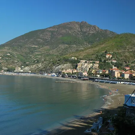 Apartment Paradiso
