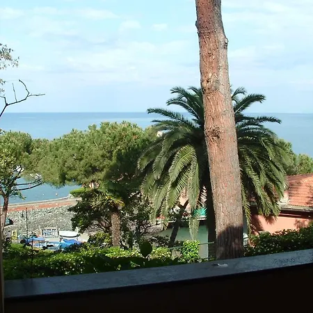 Paradiso * Levanto
